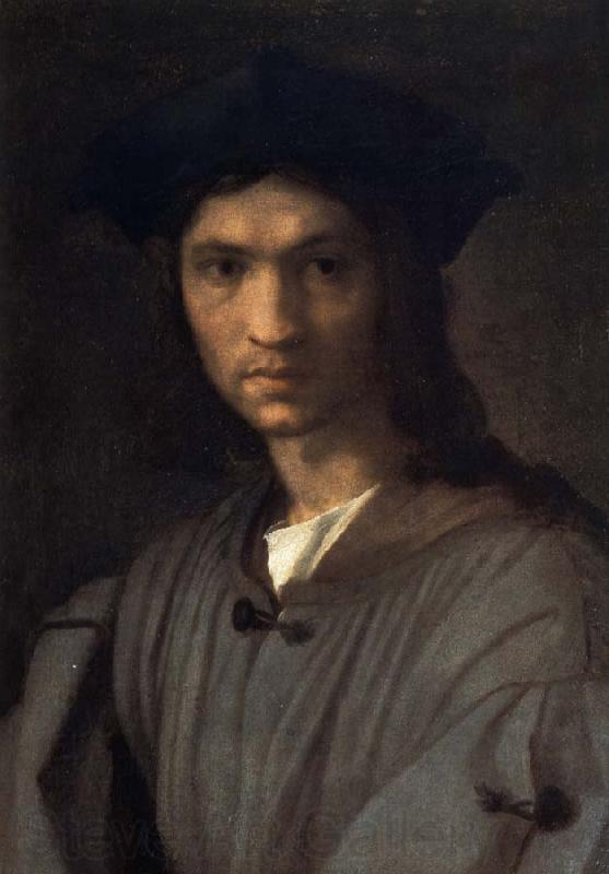 Andrea del Sarto Bondi inside portrait Norge oil painting art